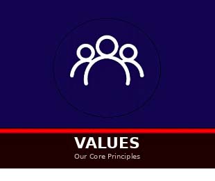 Values